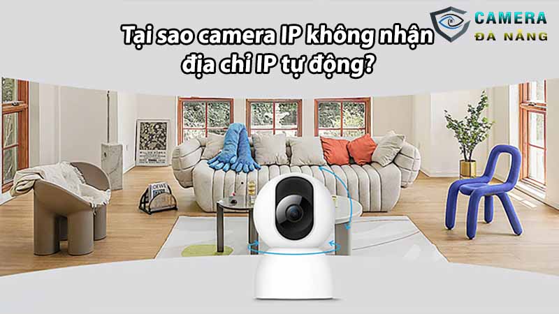 tai-sao-camera-ip-khong-nhan-dia-chi-ip-tu-dong